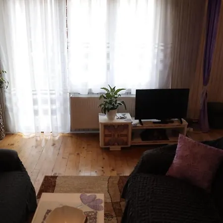 Smestaj U Novoj Varosi, Zlatar Apartment