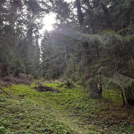 Apartament Smestaj U Novoj Varosi, Zlatar Nova Varoš