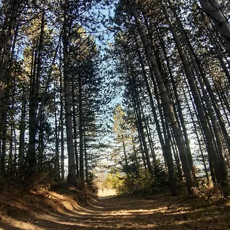 Smestaj U Novoj Varosi, Zlatar * Nova Varoš